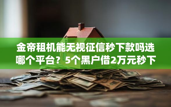 金帝租机能无视征信秒下款吗选哪个平台？5个黑户借2万元秒下网贷口子app推荐