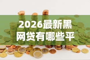 2026最新黑网贷有哪些平台理想金融（支持微信），8个贷款两万的平台无私分享