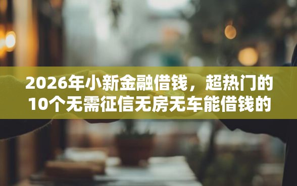 2026年小新金融借钱，超热门的10个无需征信无房无车能借钱的贷款平台推荐