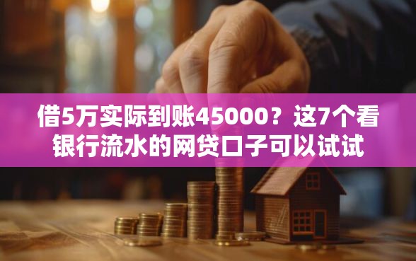 借5万实际到账45000？这7个看银行流水的网贷口子可以试试