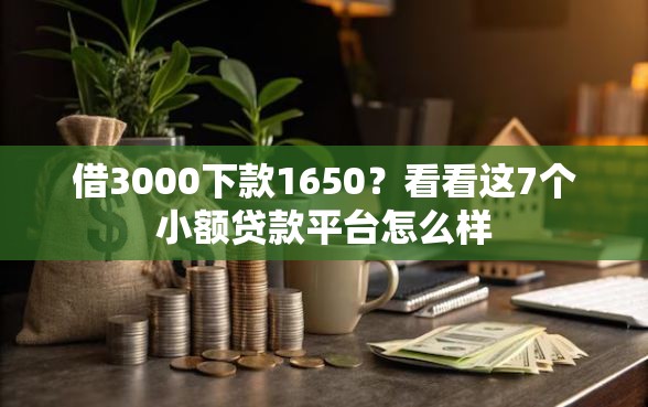 借3000下款1650？看看这7个小额贷款平台怎么样