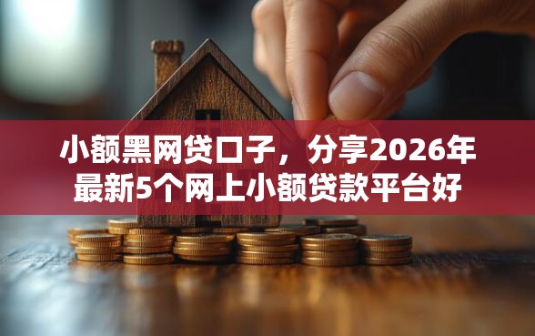 小额黑网贷口子，分享2026年最新5个网上小额贷款平台好