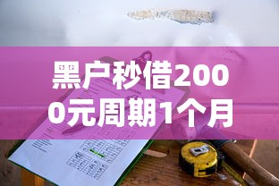 黑户秒借2000元周期1个月拢共有哪些选择？8个小贷款平台好下款详解