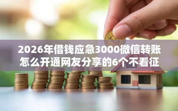 2026年借钱应急3000微信转账怎么开通网友分享的6个不看征信无视黑白百分百下款网贷口子我觉得不错！