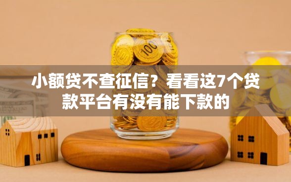 小额贷不查征信？看看这7个贷款平台有没有能下款的