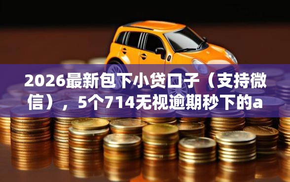 2026最新包下小贷口子（支持微信），5个714无视逾期秒下的app无私分享