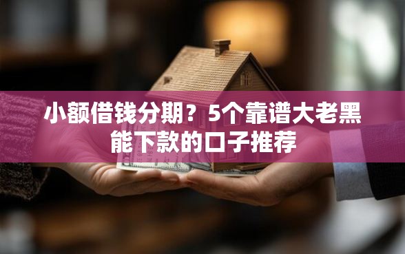 小额借钱分期？5个靠谱大老黑能下款的口子推荐