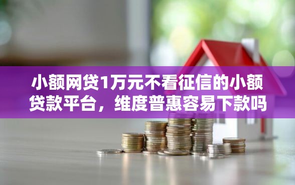 小额网贷1万元不看征信的小额贷款平台，维度普惠容易下款吗的7个平台介绍