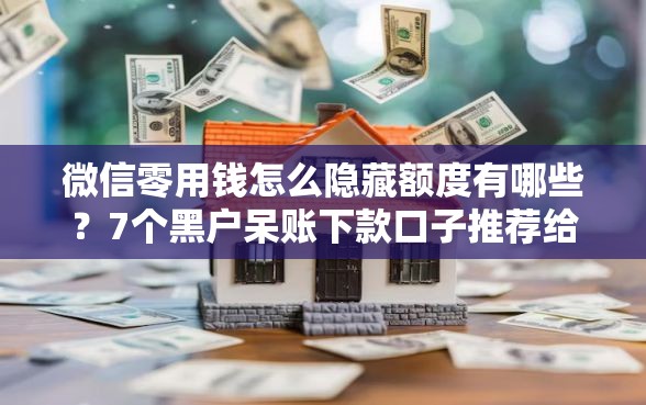 微信零用钱怎么隐藏额度有哪些？7个黑户呆账下款口子推荐给你
