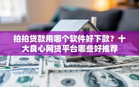 拍拍贷款用哪个软件好下款？十大良心网贷平台哪些好推荐