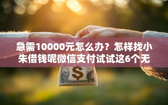 急需10000元怎么办？怎样找小朱借钱呢微信支付试试这6个无门槛平台