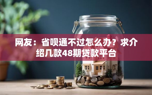 网友：省呗通不过怎么办？求介绍几款48期贷款平台