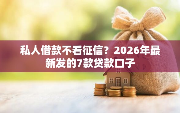 私人借款不看征信？2026年最新发的7款贷款口子