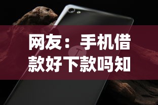 网友：手机借款好下款吗知乎？求介绍几款无视黑白户秒下款口子app