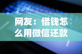 网友：借钱怎么用微信还款方法？求介绍几款轻松贷10万的app