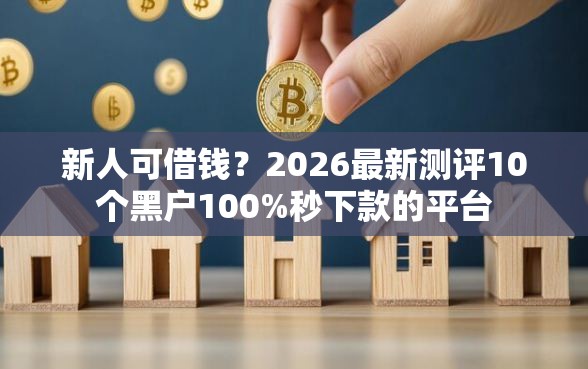 新人可借钱？2026最新测评10个黑户100%秒下款的平台