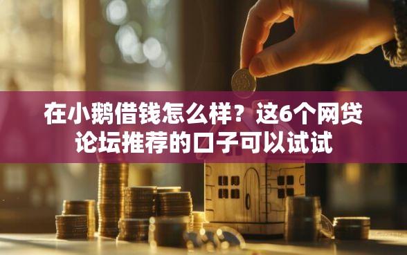 在小鹅借钱怎么样？这6个网贷论坛推荐的口子可以试试