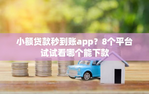 小额贷款秒到账app？8个平台试试看哪个能下款
