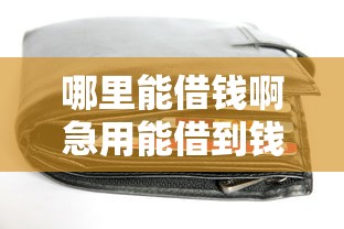 哪里能借钱啊急用能借到钱吗？1万元无门槛借款5个平台推荐