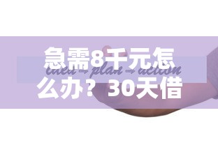 急需8千元怎么办？30天借款的口子秒到的试试这8个无门槛平台