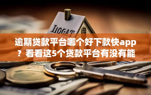 逾期贷款平台哪个好下款快app？看看这5个贷款平台有没有能下款的