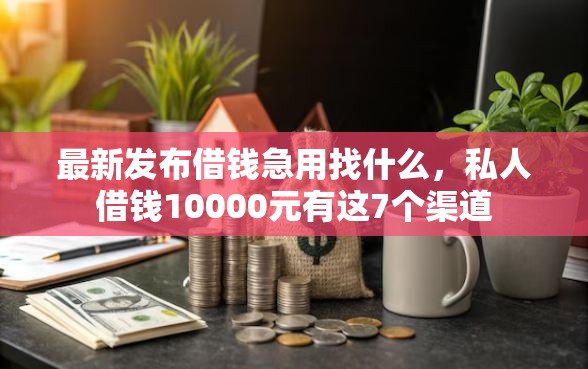 最新发布借钱急用找什么，私人借钱10000元有这7个渠道