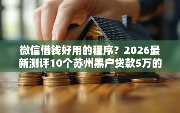 微信借钱好用的程序？2026最新测评10个苏州黑户贷款5万的平台