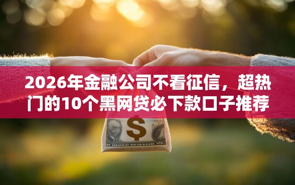 2026年金融公司不看征信，超热门的10个黑网贷必下款口子推荐