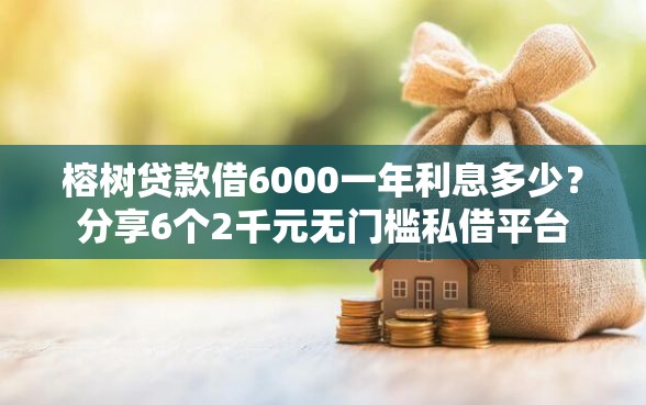 榕树贷款借6000一年利息多少？分享6个2千元无门槛私借平台