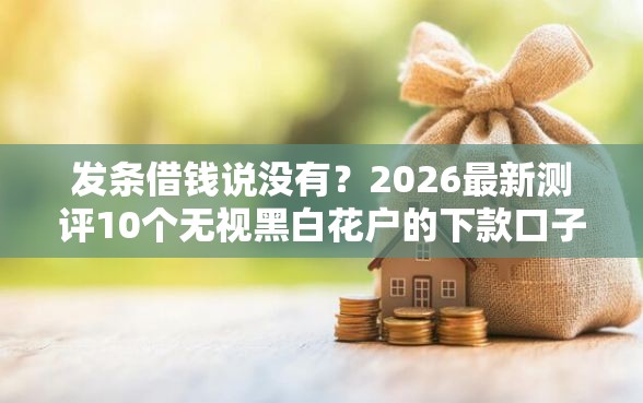 发条借钱说没有？2026最新测评10个无视黑白花户的下款口子