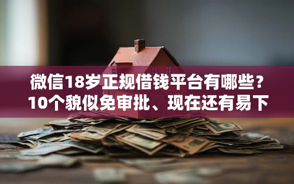 微信18岁正规借钱平台有哪些？10个貌似免审批、现在还有易下款的平台合集