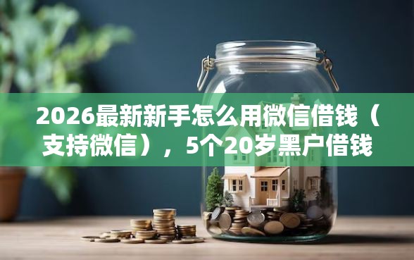 2026最新新手怎么用微信借钱（支持微信），5个20岁黑户借钱平台秒过小额无私分享