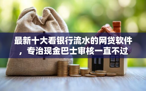 最新十大看银行流水的网贷软件，专治现金巴士审核一直不过