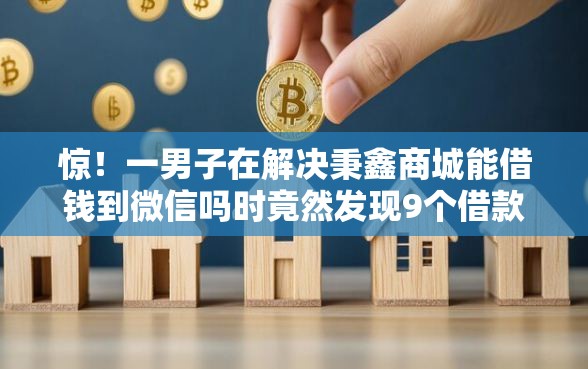 惊！一男子在解决秉鑫商城能借钱到微信吗时竟然发现9个借款平台借钱容易，事后分享了出来
