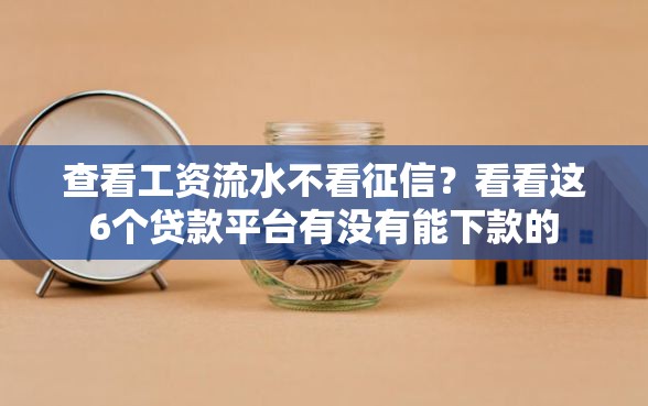 查看工资流水不看征信？看看这6个贷款平台有没有能下款的