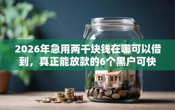 2026年急用两千块钱在哪可以借到，真正能放款的6个黑户可快速办理小额贷款业务的口子推荐