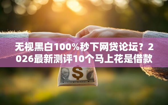 无视黑白100%秒下网贷论坛？2026最新测评10个马上花是借款平台贷款
