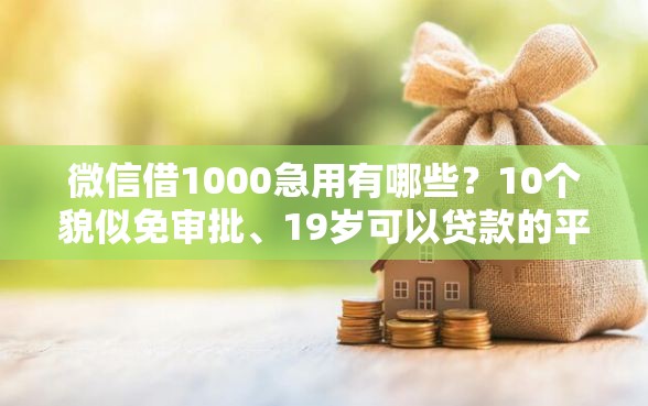 微信借1000急用有哪些？10个貌似免审批、19岁可以贷款的平台合集