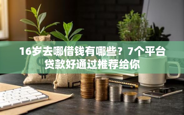 16岁去哪借钱有哪些？7个平台贷款好通过推荐给你