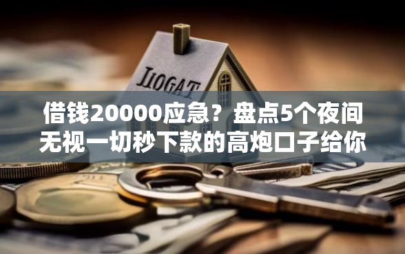 借钱20000应急？盘点5个夜间无视一切秒下款的高炮口子给你参考