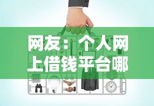 网友：个人网上借钱平台哪个好通过？求介绍几款网贷投诉平台