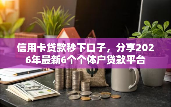 信用卡贷款秒下口子，分享2026年最新6个个体户贷款平台