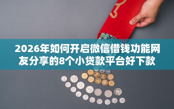 2026年如何开启微信借钱功能网友分享的8个小贷款平台好下款我觉得不错！