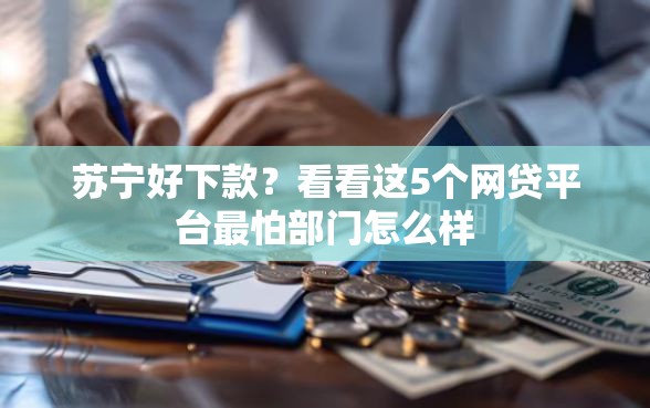 苏宁好下款？看看这5个网贷平台最怕部门怎么样
