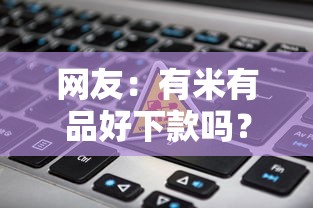 网友：有米有品好下款吗？求介绍几款不上征信得网贷平台下载