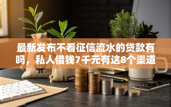 最新发布不看征信流水的贷款有吗，私人借钱7千元有这8个渠道