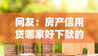 网友：房产信用贷哪家好下款的？求介绍几款网上贷款平台