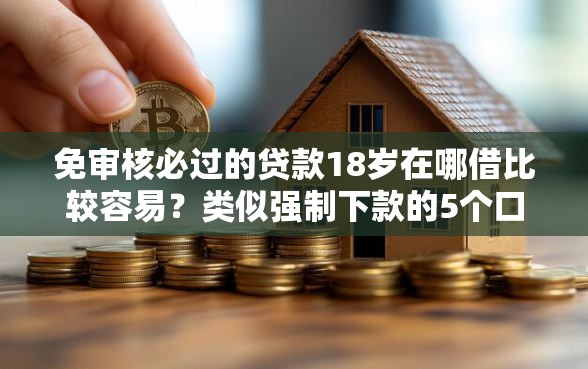 免审核必过的贷款18岁在哪借比较容易？类似强制下款的5个口子参考