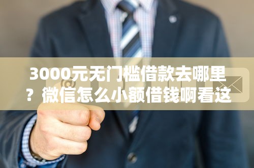 3000元无门槛借款去哪里？微信怎么小额借钱啊看这5个平台