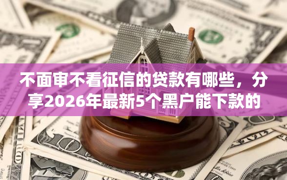 不面审不看征信的贷款有哪些，分享2026年最新5个黑户能下款的app口子入口